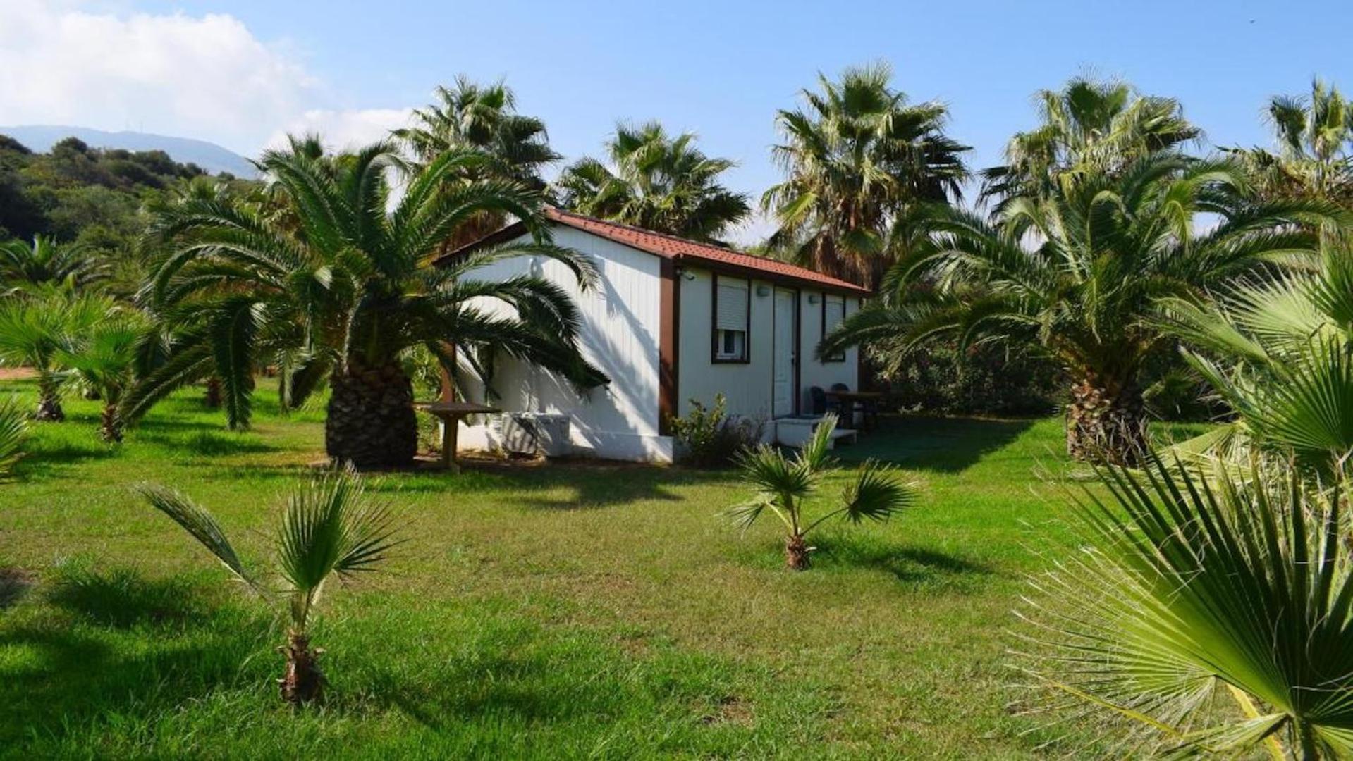 La Palma Beachfront Suites ゲオルギオポリス エクステリア 写真